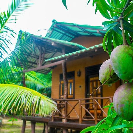 Yalaway Nature Villa Tissamaharama Buitenkant foto