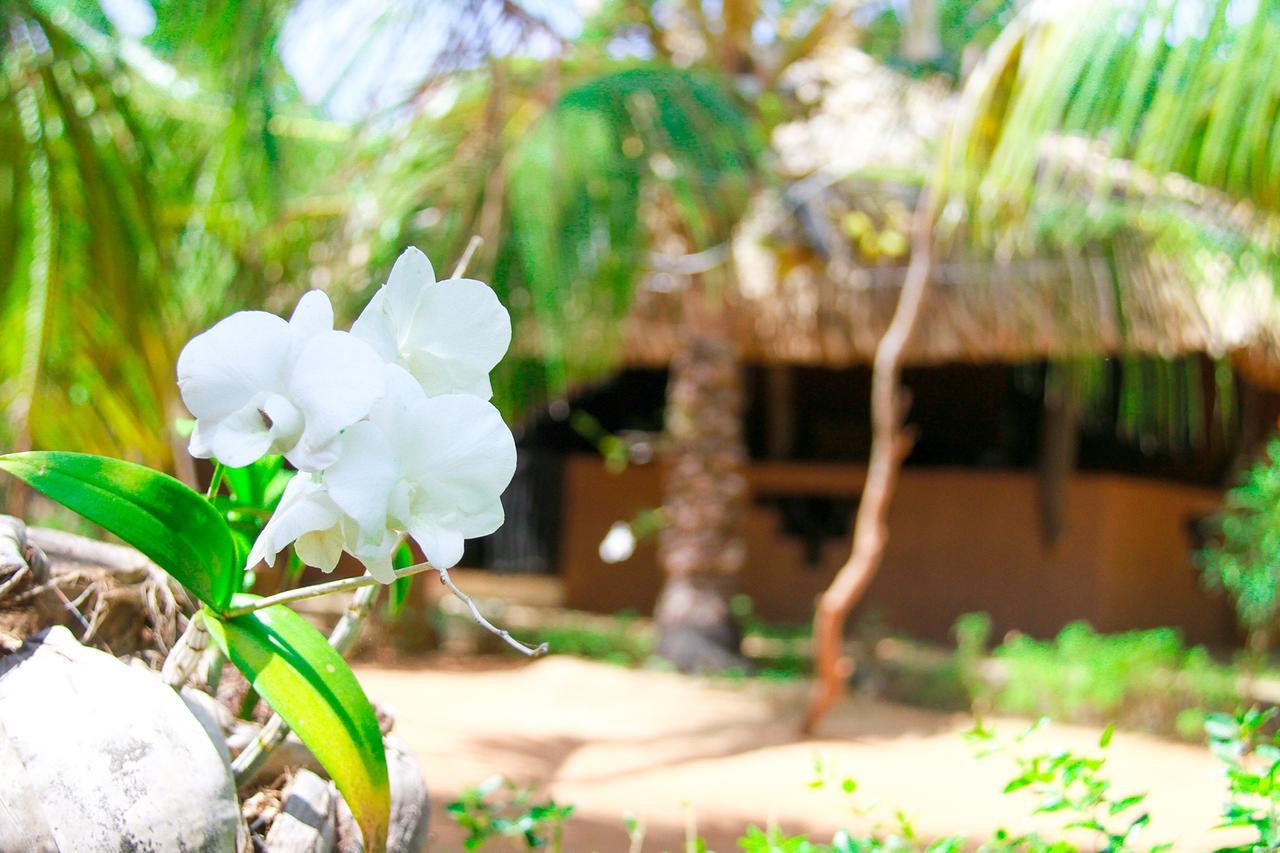 Yalaway Nature Villa Tissamaharama Buitenkant foto