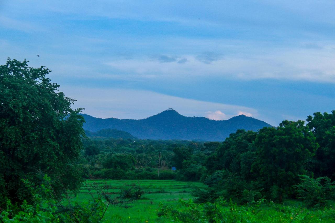 Yalaway Nature Villa Tissamaharama Buitenkant foto